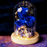 依雯然（Ivenran）生日礼物女士永生花束礼盒礼物女生伴手礼高级摆件情人节结婚订婚