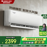 格力（GREE）挂机空调 云佳/天仪1/1.5匹 新能效 家用自清洁 变频冷暖空调 卧室壁挂式格力空调 大1匹 一级能效 【天仪 旗舰机 国家补贴20%】