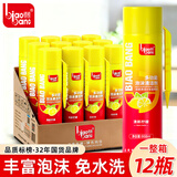 标榜（biaobang）多功能泡沫清洁剂（带刷整箱）汽车内饰皮革座椅去污清洁车居两用