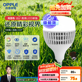 欧普（OPPLE）LED灯泡2级能效灯泡E27螺口商用摆摊大功率厂房工矿灯100瓦白光
