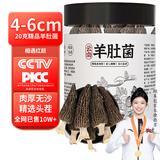 相遇红颜羊肚菌头茬新鲜野生菌干货云南特产礼盒 南北干货菌菇野生菌汤包 20g羊肚菌精品罐装