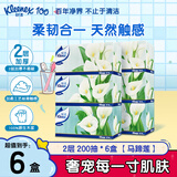 舒洁（Kleenex）抽纸 小熊印花无香经典纸巾 原生木浆柔软顺滑软抽手纸卫生纸 2层 200抽*6盒 【马蹄莲】