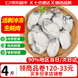 优牧冠 冷冻生蚝肉  新鲜活剥牡蛎肉 海蛎子 生鲜 贝类 海鲜水产 【免处理大号】生蚝肉 净重4斤