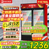 格点大容量饮料柜商用冰柜直冷藏展示柜酒水柜纯风冷无霜保鲜柜超市玻璃门冰箱立式啤酒柜 双门下机组直冷 7挡调温基础款
