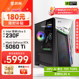 武极 武神i5 13490F/230F/RTX5060Ti显卡台式机三角洲游戏电竞组装电脑英特尔Intel主机整机DIY组装机 230F+RTX5060Ti丨配置六 单主机
