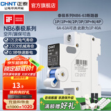 正泰（CHNT）空气开关NB6 63泰极 空开断路器小型家用电工推荐 断电保护 空开1P 40A