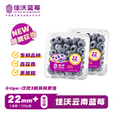 佳沃（JOYVIO）云南蓝莓脆脆花香系列 巨无霸22mm+ 2盒装 约125g/盒 生鲜水果