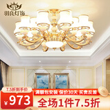羽良 欧式吊灯客厅灯现代简约大气餐厅卧室广东中山灯具套餐三室两厅 15头奢华版【全光谱三色】