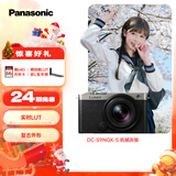 松下S9（18-40mm F4.5-6.3）套机 （Panasonic）全画幅微单 实时Lut 滤镜直出 连接app极速分享-灰银