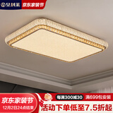 皇利莱客厅吸顶灯室内大厅主灯简约风护眼卧室吸顶灯现代餐厅灯中山灯具 【长方形192W】智能护眼灯具96CM