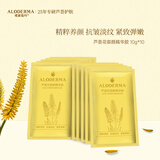 瑷露德玛 芦荟御颜精华胶10g*10片芦荟凝胶面膜紧致抗皱补水保湿滋养护肤