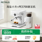 柏翠(petrus)咖啡机意式浓缩家用小型半自动蒸汽打奶泡 海盐小方PE3833+PE3700