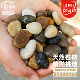 寿禾 鹅卵石鱼缸装饰造景天然石头庭院花盆铺面 0.8-1.5cm鹅卵石5斤