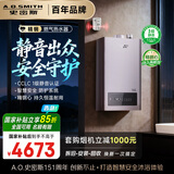 史密斯（A.O.SMITH）16升精钢燃气热水器 国家补贴 1级静音认证 安全守护 JSQ31-EDQ6 新品