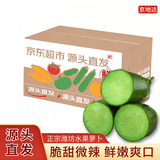 京地达山东潍坊水果萝卜净重5斤单果300g+多汁爽口健康轻食源头直发包邮