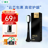 狮王（Lion）磁悬浮声波电动牙刷替换清洁刷头 呵护型-极耀黑1支 京东自营