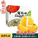 京地达柚子福建黄金葡萄柚西柚水果礼盒净重8斤单果250g+源头直发