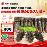 晓芹 大连即食海参 400g 7-10只 辽刺参 海鲜水产