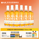 梅见 双梅混调 杨梅风味青梅酒 750ml*6瓶 12度果酒 新老版本随机发