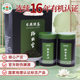日照绿茶茶叶有机茶浓香型豆香口粮茶桶装250g山东特产礼品