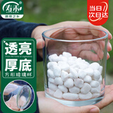 寿禾 水培玻璃杯花盆加厚透明植物插花容器 10*10cm圆形水培玻璃瓶