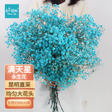匠心绽放满天星干花永生花束节日礼物实用客厅装饰天然风干真花蓝色20276