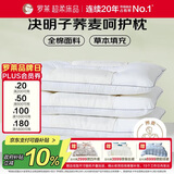 罗莱家纺 枕头枕芯脊椎枕 100%全棉决明子荞麦花草护颈高枕 46*72