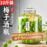 极度空间泡酒容器酒坛10斤装泡酒专用瓶玻璃罐密封罐泡菜坛酒瓶空瓶存酒瓶