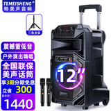 特美声 特美声SL15-31广场舞户外移动大功率演出活动拓展主持15寸大音量音响k歌唱歌便携式蓝牙蓝牙音箱 12寸标配+2支无线话筒+支架