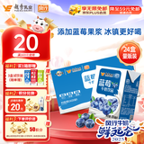 风行牛奶蓝莓风味牛奶饮品 200ml*24盒 风味牛奶量贩装团购 礼盒装送礼