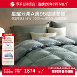 罗莱家纺95%鹅绒被羽绒被芯春秋四季加厚冬被保暖被子 【冬被】95鹅绒+七星柔软 星耀绿 220cm*250cm