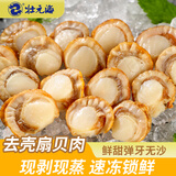壮元海大连赤贝肉扇贝肉每种各2袋共2斤新鲜现剥毛蚬子肉无沙 源头直发