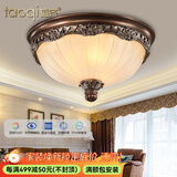 韬齐 欧式吸顶灯客厅现代简约主卧室灯美式阳台灯具 J2003-中号 直径35CM 配单色LED灯泡