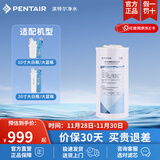 滨特尔（pentair） 全屋净水器家用大蓝瓶大流量大白瓶大胖瓶通用滤芯 10寸KDF+活性炭双效滤芯
