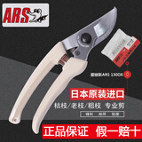 爱丽斯（ARS）日本爱丽斯剪枝剪刀进口修枝剪ARS 130DX果树剪刀 树剪剪子爱丽丝 日本原装130DX+弹簧