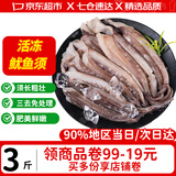优牧冠 冷冻鱿鱼须铁板鱿鱼爪二本足八爪鱼毛重500g/袋火锅夜宵烧烤食材 精品款肉质鲜嫩 3斤(净重)