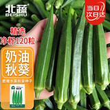 北蔬 秋葵种子种苗四季播种农家秋四季种蔬菜种籽 黄秋葵种子120粒