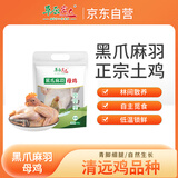 草原宏达土鸡老母鸡 散养黑脚母鸡 月子鸡煲汤整鸡 黑爪母鸡2.4斤
