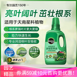 美乐棵 天南星科营养液家庭园艺花肥肥料园艺种植液浓缩植物营养液500ML