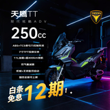 天鹰（TEYIN）TT250ADV 燃油踏板摩托车长途摩旅隆鑫水冷发动机 水泥灰12期免息