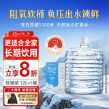 5100西藏冰川矿泉水12L 整箱装 天然纯净大软桶装弱碱性饮用矿泉水