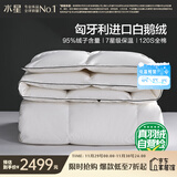 水星家纺羽绒被95%白鹅绒被子冬季加厚暖气被芯双人羽绒被200×230cm-420g