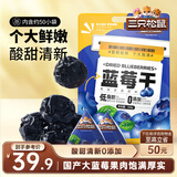 三只松鼠每日蓝莓干500g 蜜饯果干酸甜休闲零食下午茶孕妇儿童健康零食