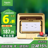 施耐德电气 五孔地插(带底盒) 弹出阻尼式防水地面地板插座铜质E227C10U_BAS