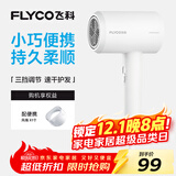 飞科 FLYCO 电吹风机宿舍用 柔风负离子恒温护发 家用冷热大风量快速干发吹风筒FH6290 1800W