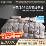 水星家纺羽绒被95%白鹅绒被子冬季加厚冬被芯双人羽绒被220cm×240cm1200g