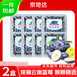 京地达云南蓝莓净含量115g*2盒单果24mm+京东自营新鲜水果 源头直发包邮