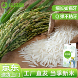 牧马湖 猫牙王大米10斤装长粒大米籼米正宗猫牙香米5kg 2025年新米