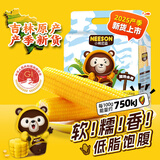 东北农嫂黄糯玉米软糯香吉林原产粘玉米真空低脂饱腹粗粮代餐 【爆款推荐】黄糯玉米1.25kg约5根