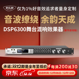 麦乐迪DSP6300卡拉ok混响器 数字音频前级效果器 家庭影院防啸叫调音台处理器含话筒 调音台均衡器 DSP6300豪华升级版(含线) 标准版